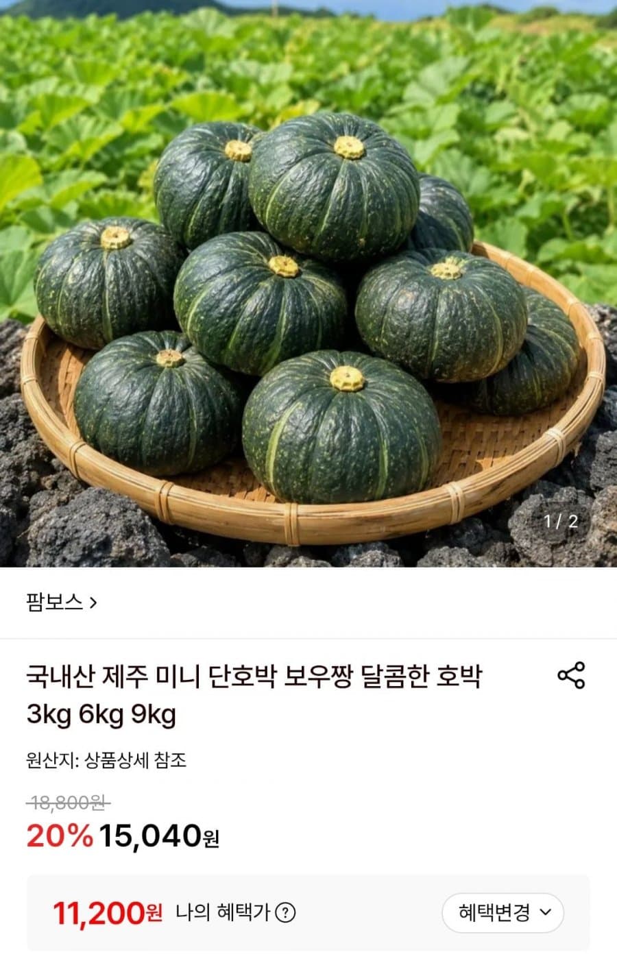 제주 미니 단호박 6kg