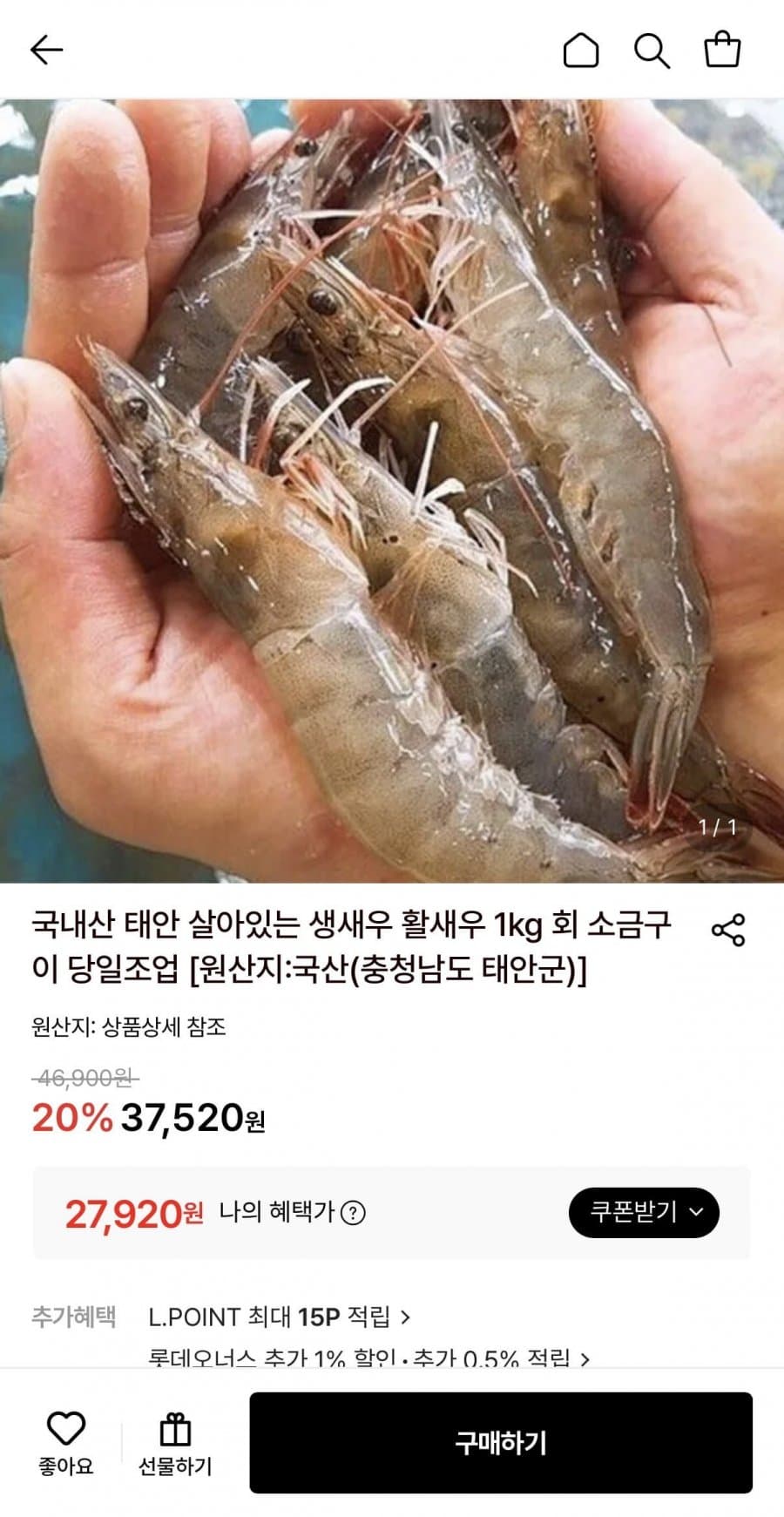 태안 생새우 1kg