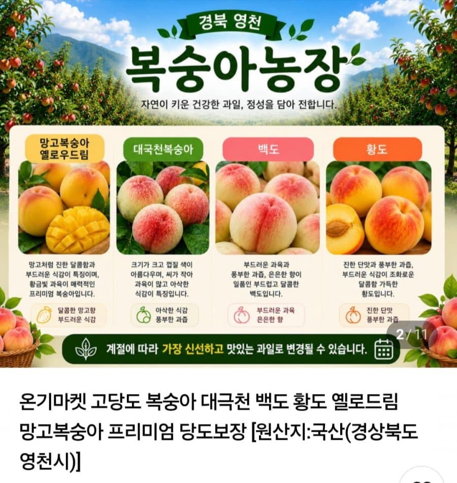 대극천 복숭아 중소과 2kg