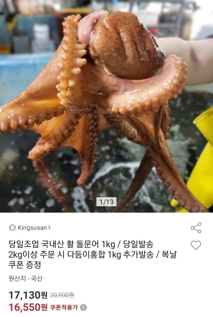 국내산 활 돌문어 1kg