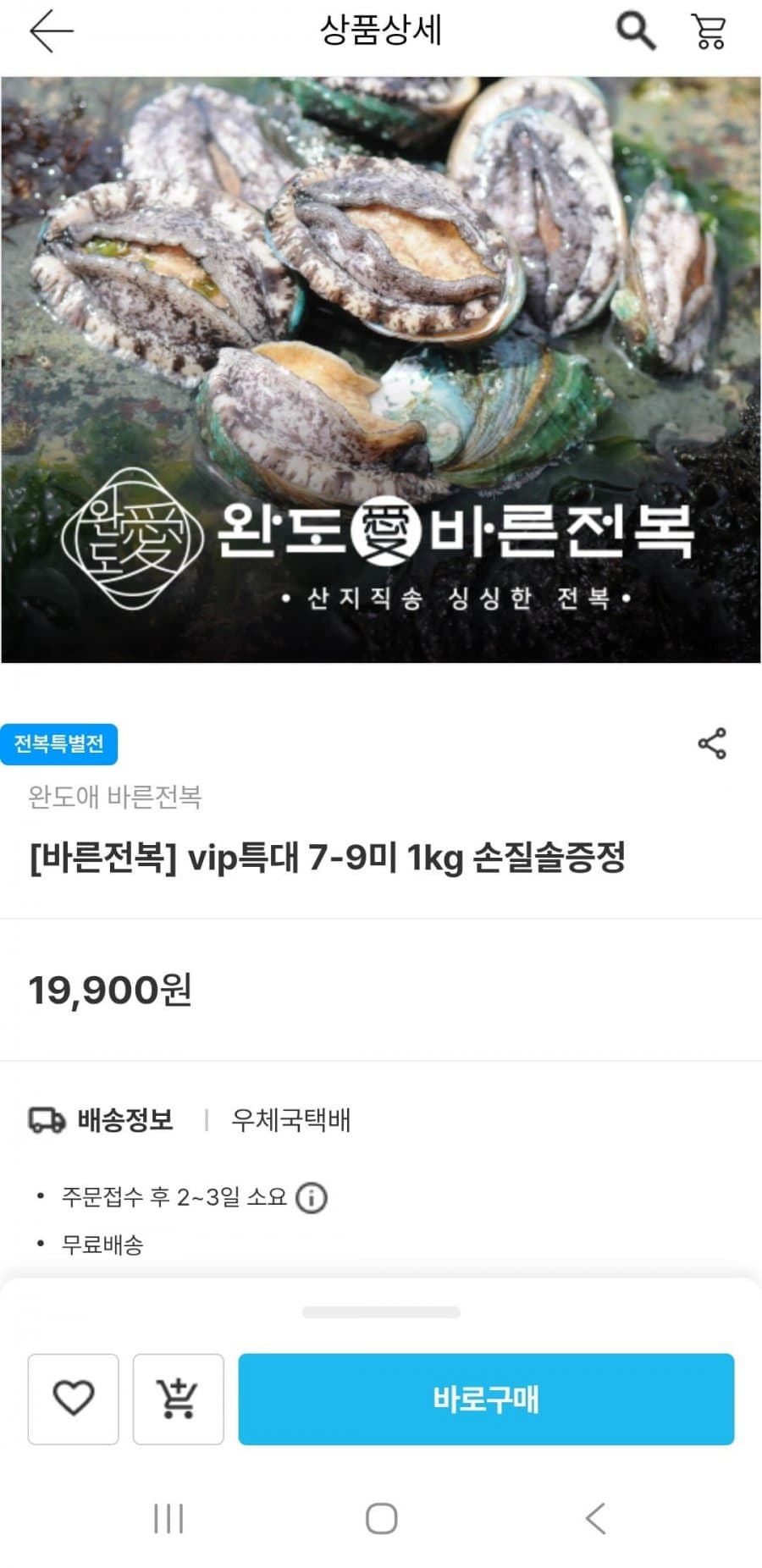 완도 전복 특대 1kg
