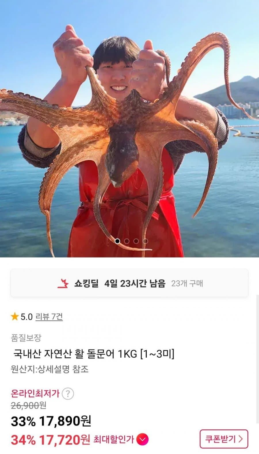 국내산 활 돌문어 1KG