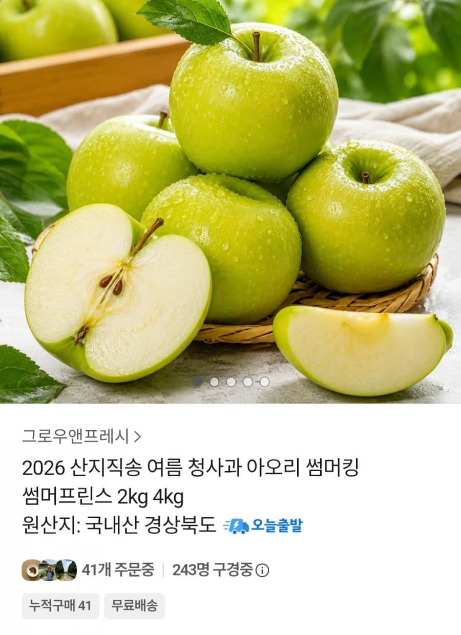 아오리 청사과 2kg