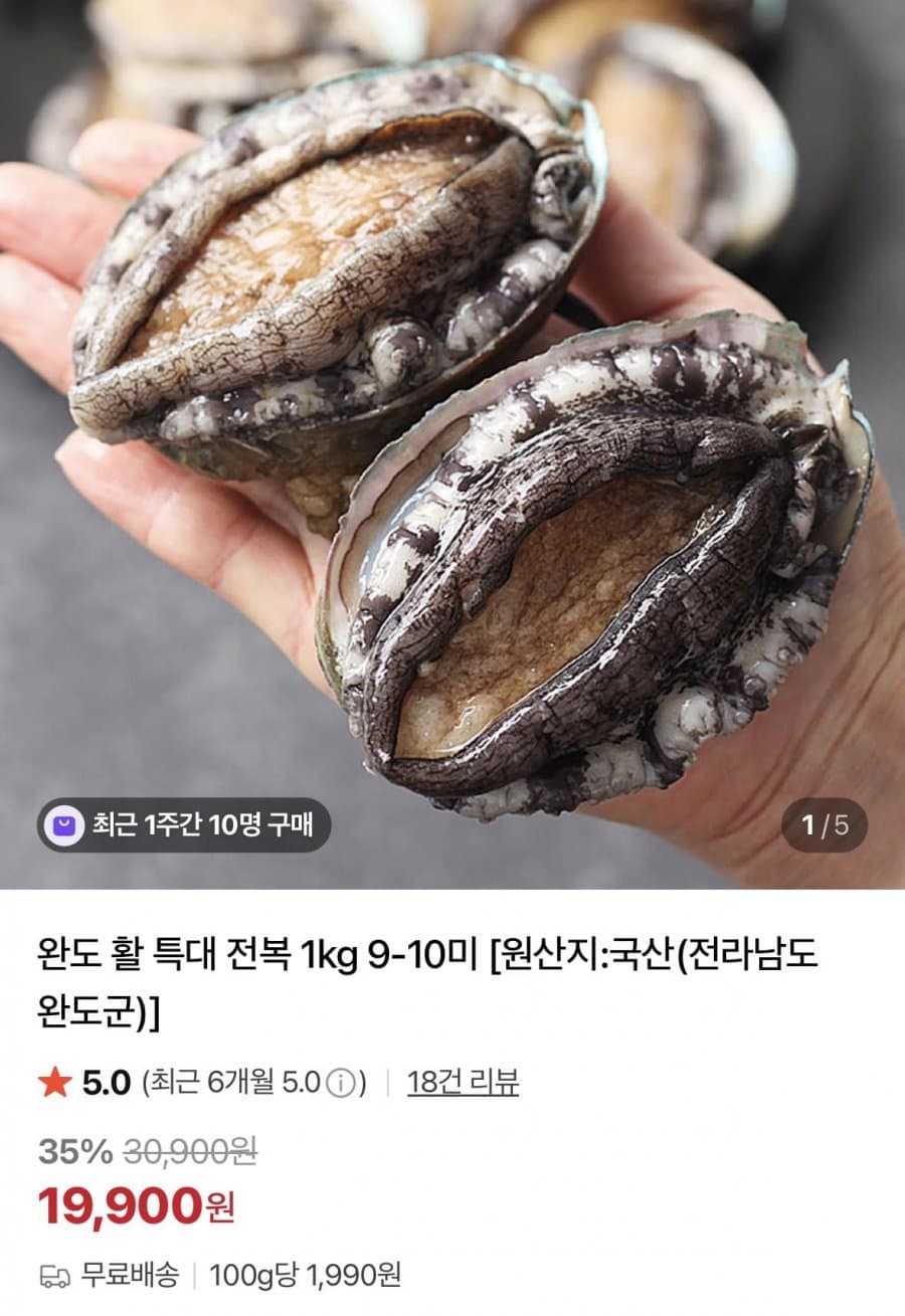 완도 활 특대 전복 1kg