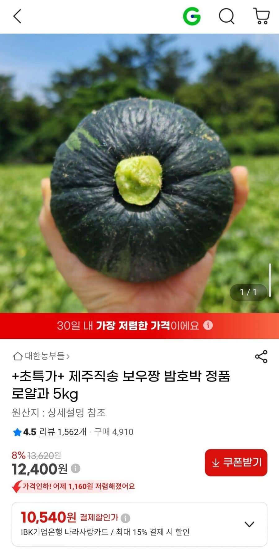 보우짱 밤호박 로얄과 5kg