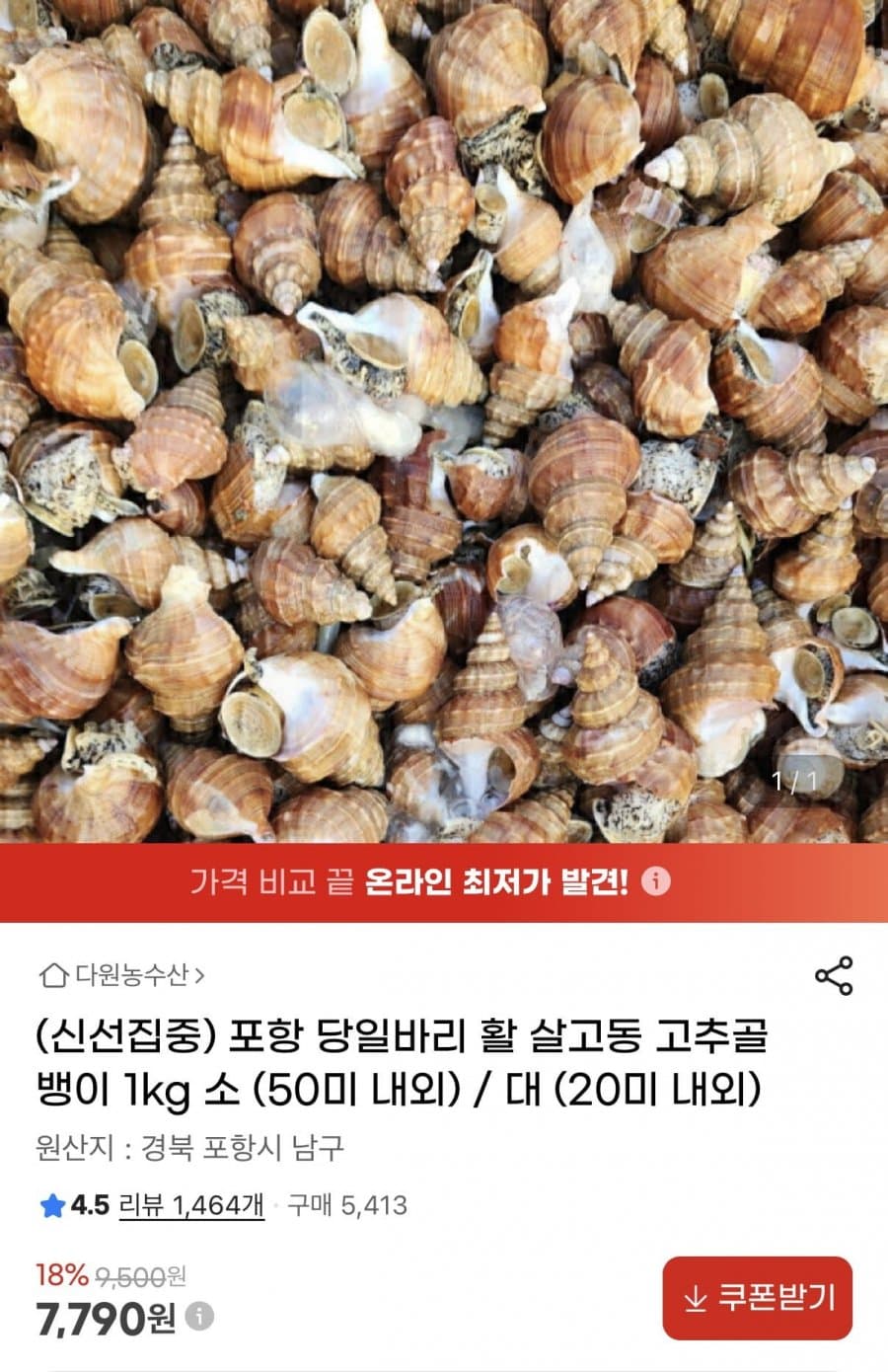 포항 활 살고동 고추골뱅이 1kg