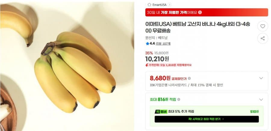 베트남 고산지 바나나 4kg