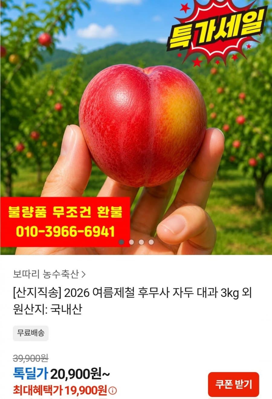 후무사 자두 대과 3kg