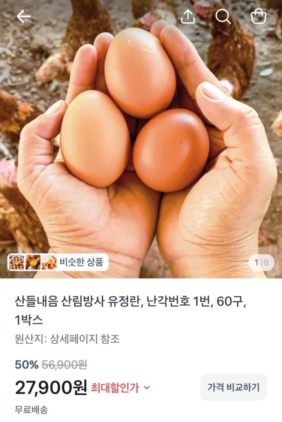 산림방사 무항생제 유정란 60구