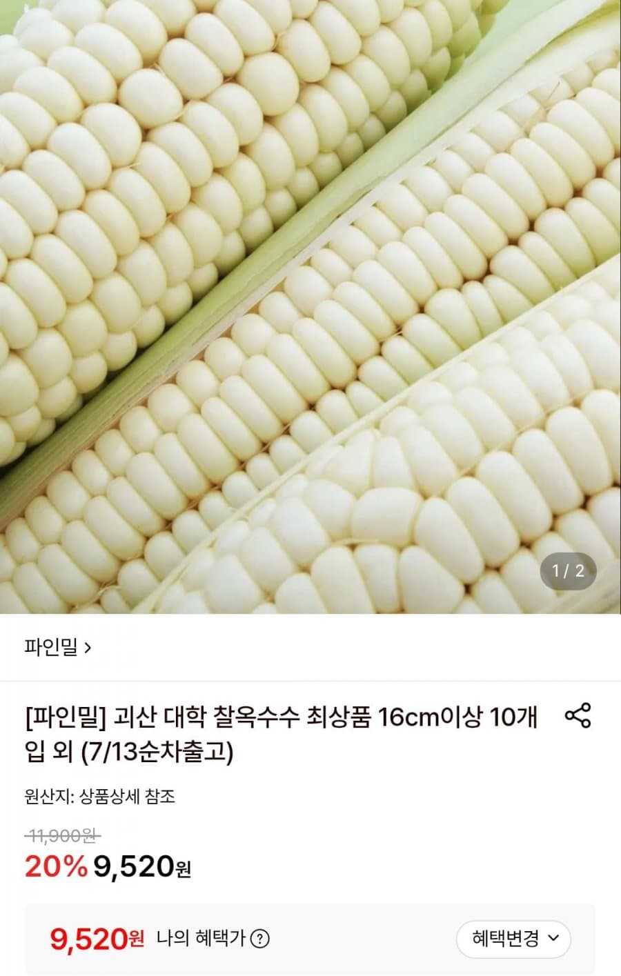 괴산 대학 찰옥수수 8개