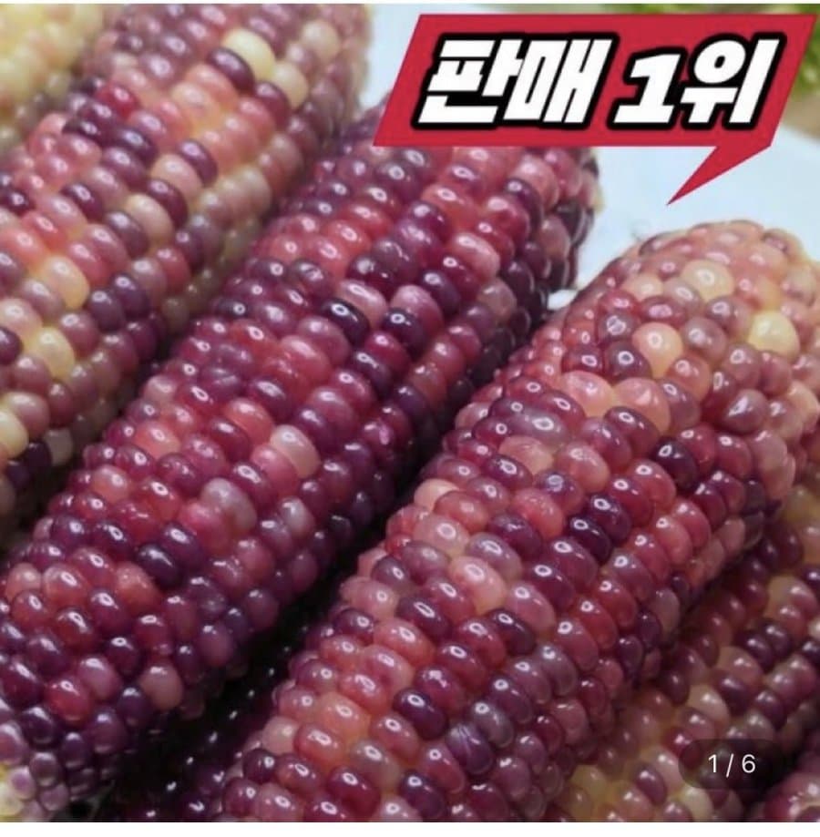 흑찰옥수수 30개입