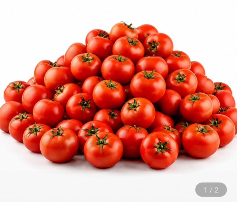 완숙 토마토 5kg