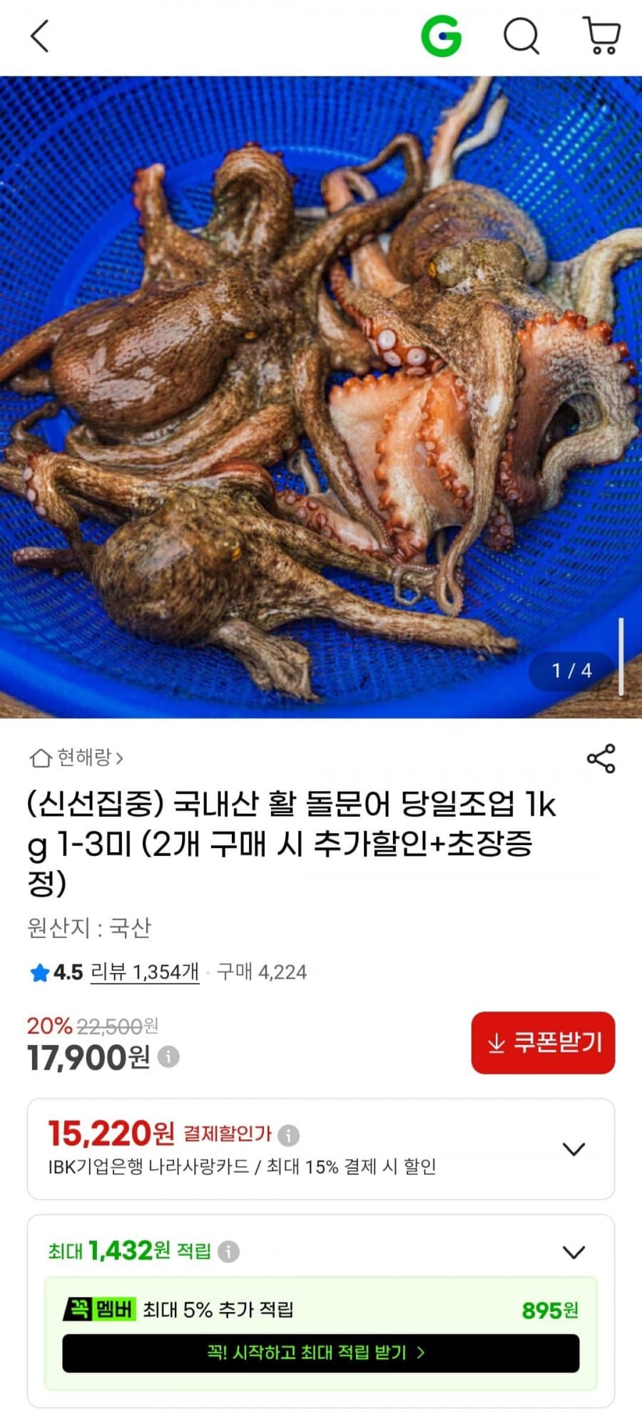 국내산 활 돌문어 1kg