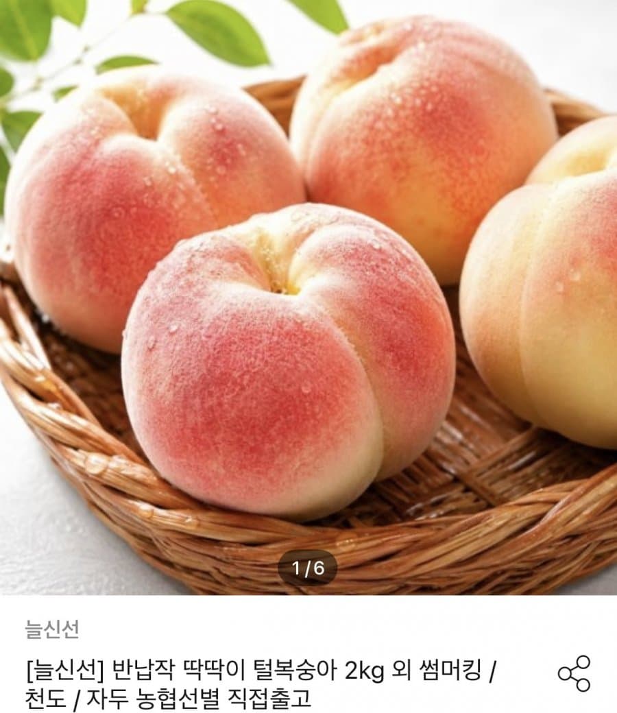 백도 복숭아 로얄과 2kg