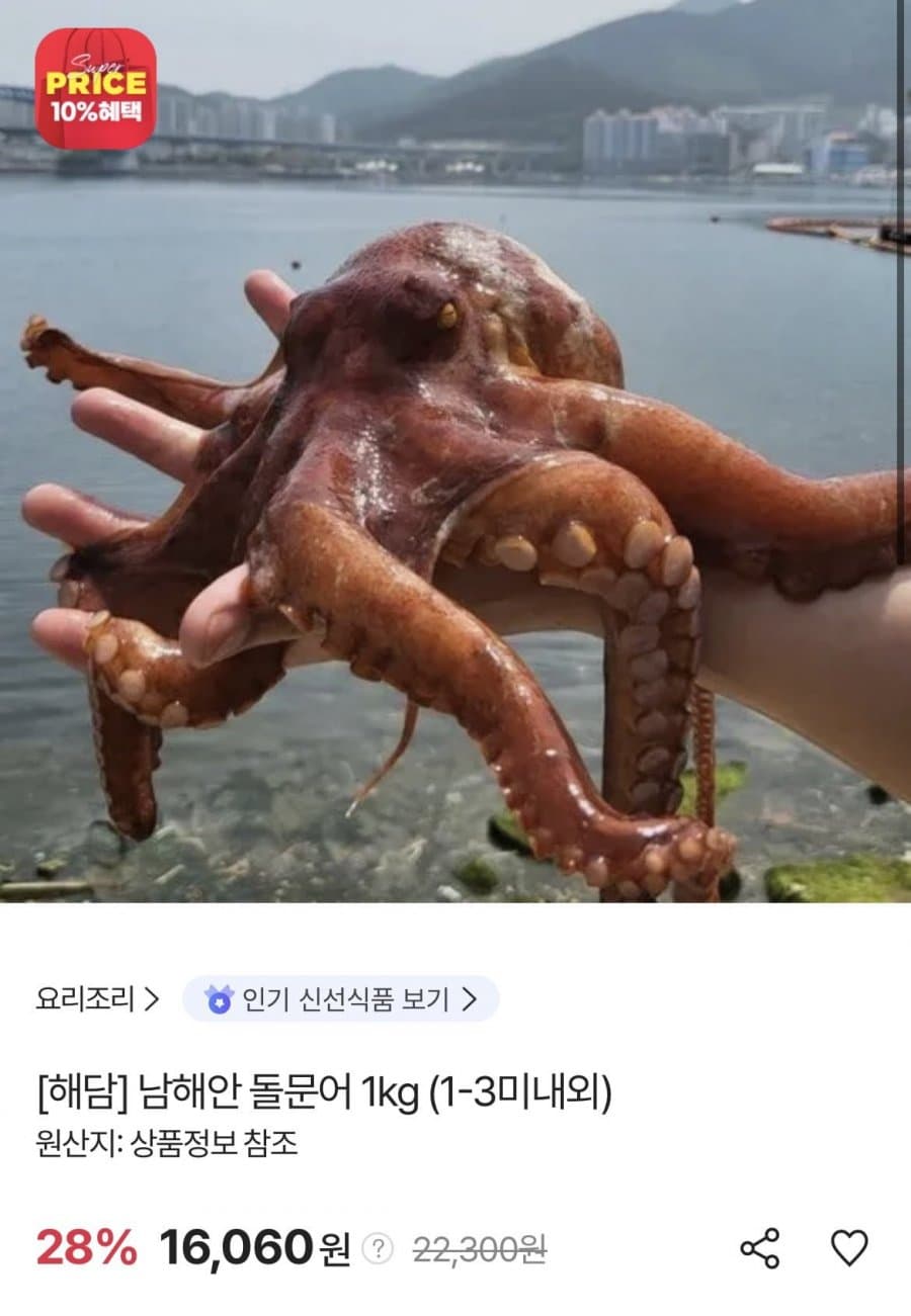 남해안 돌문어 1kg