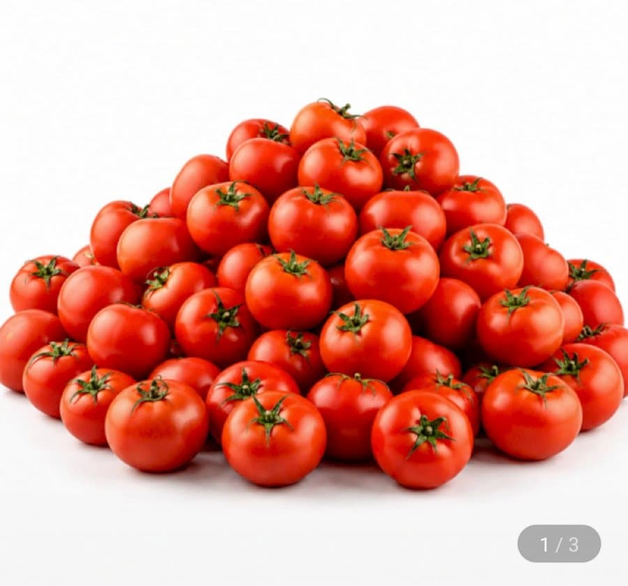 완숙토마토 2kg