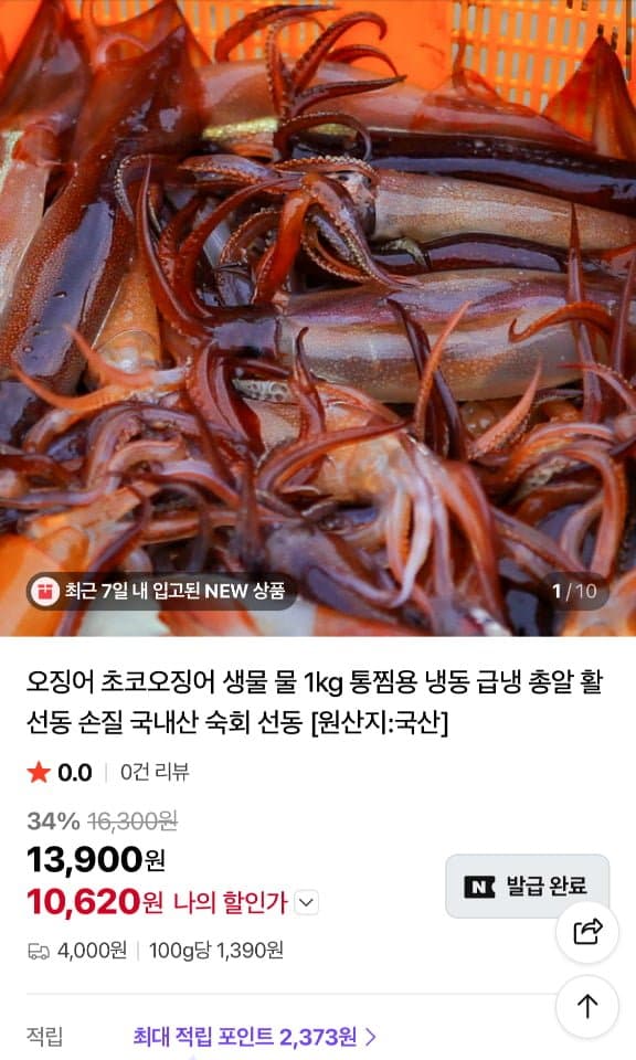 국산 생물 오징어 1kg