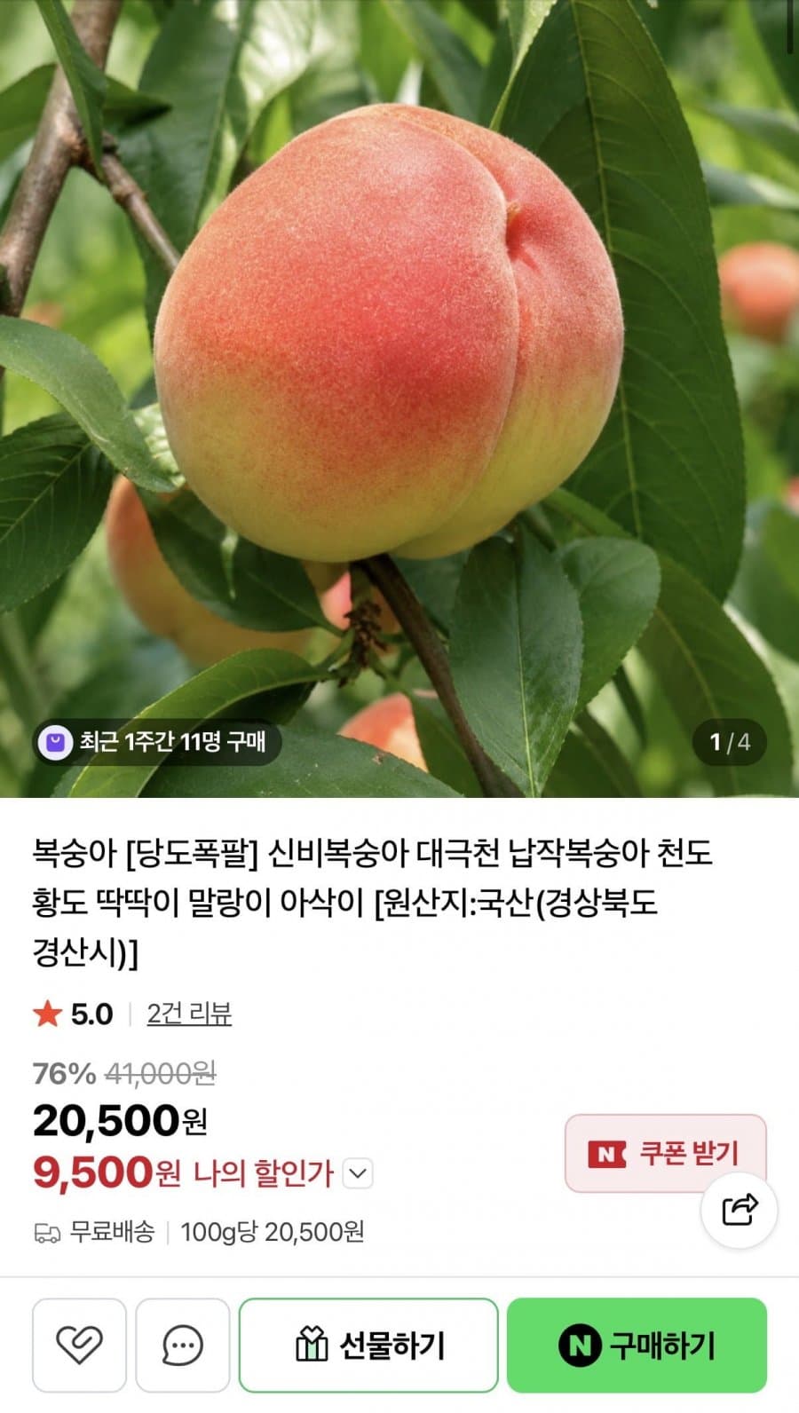대극천 복숭아 1KG