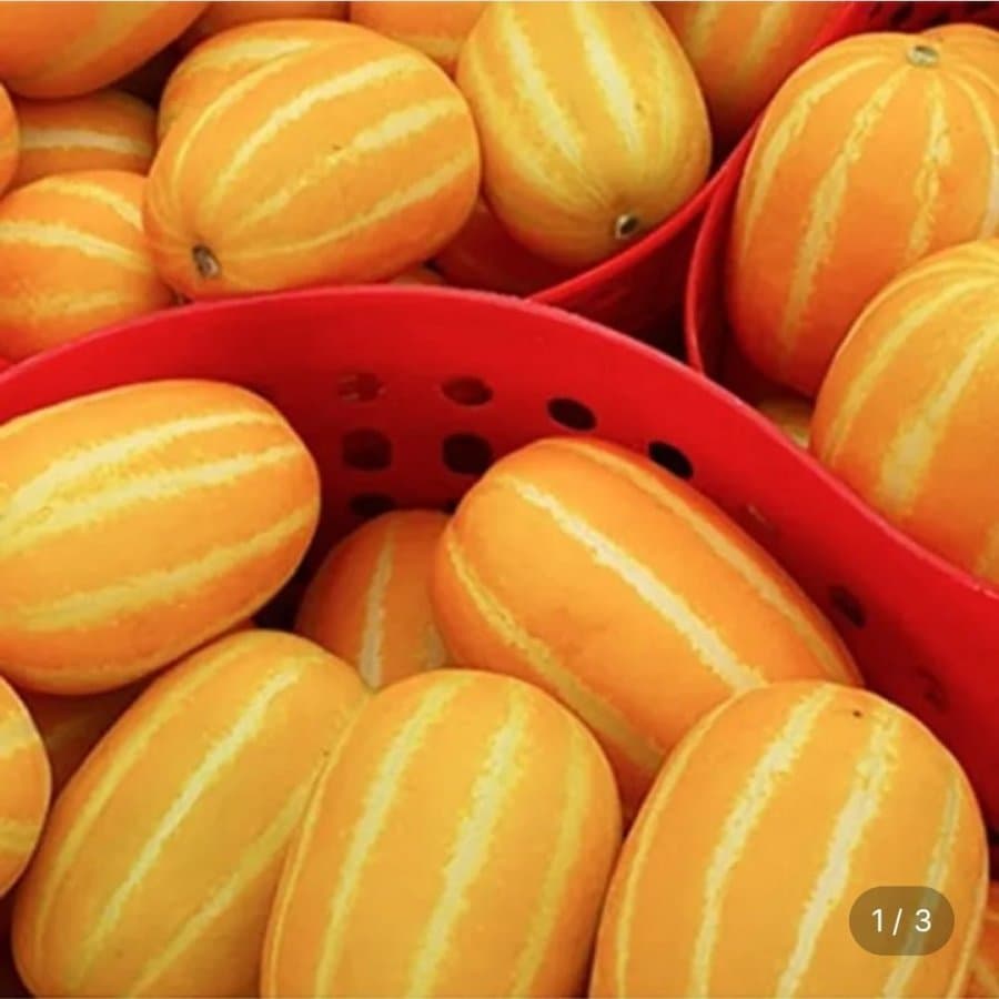 성주 꿀 참외 10kg
