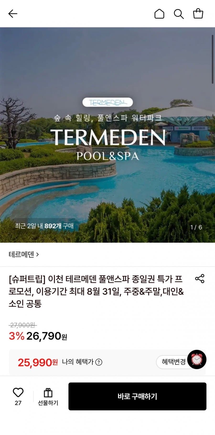 테르메덴 풀앤스파 종일권