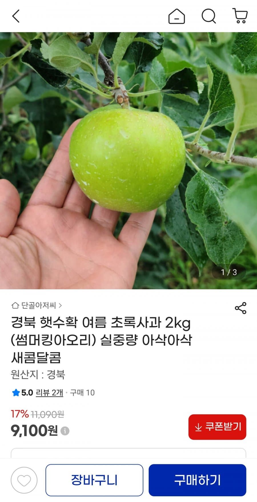 경북 썸머킹아오리 2kg