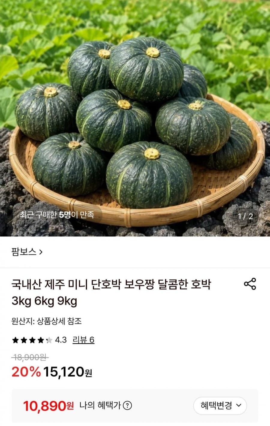 제주 미니 단호박 로얄과 6kg
