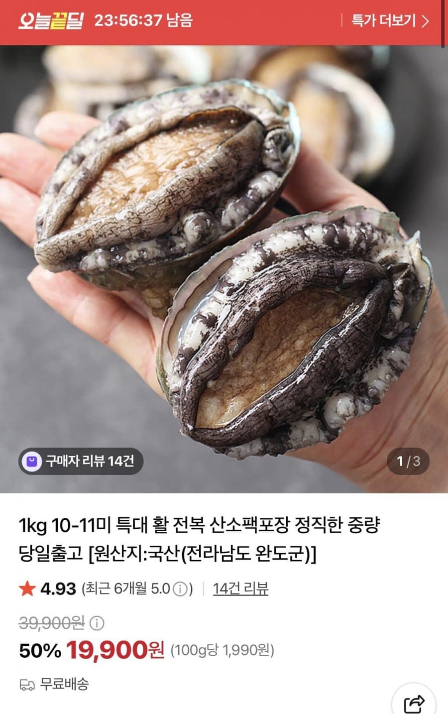 특대 활 전복 1kg