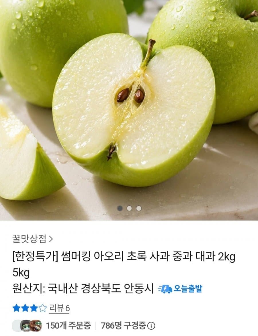 썸머킹 아오리 사과 2kg