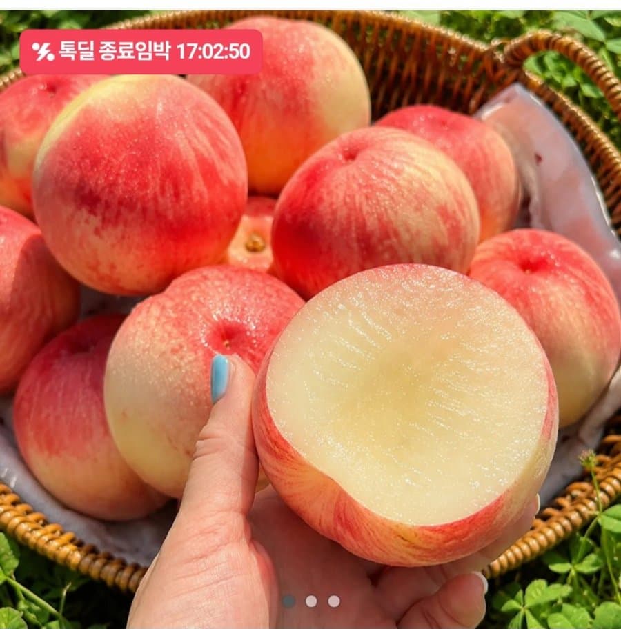 백도 딱딱이 복숭아 2kg
