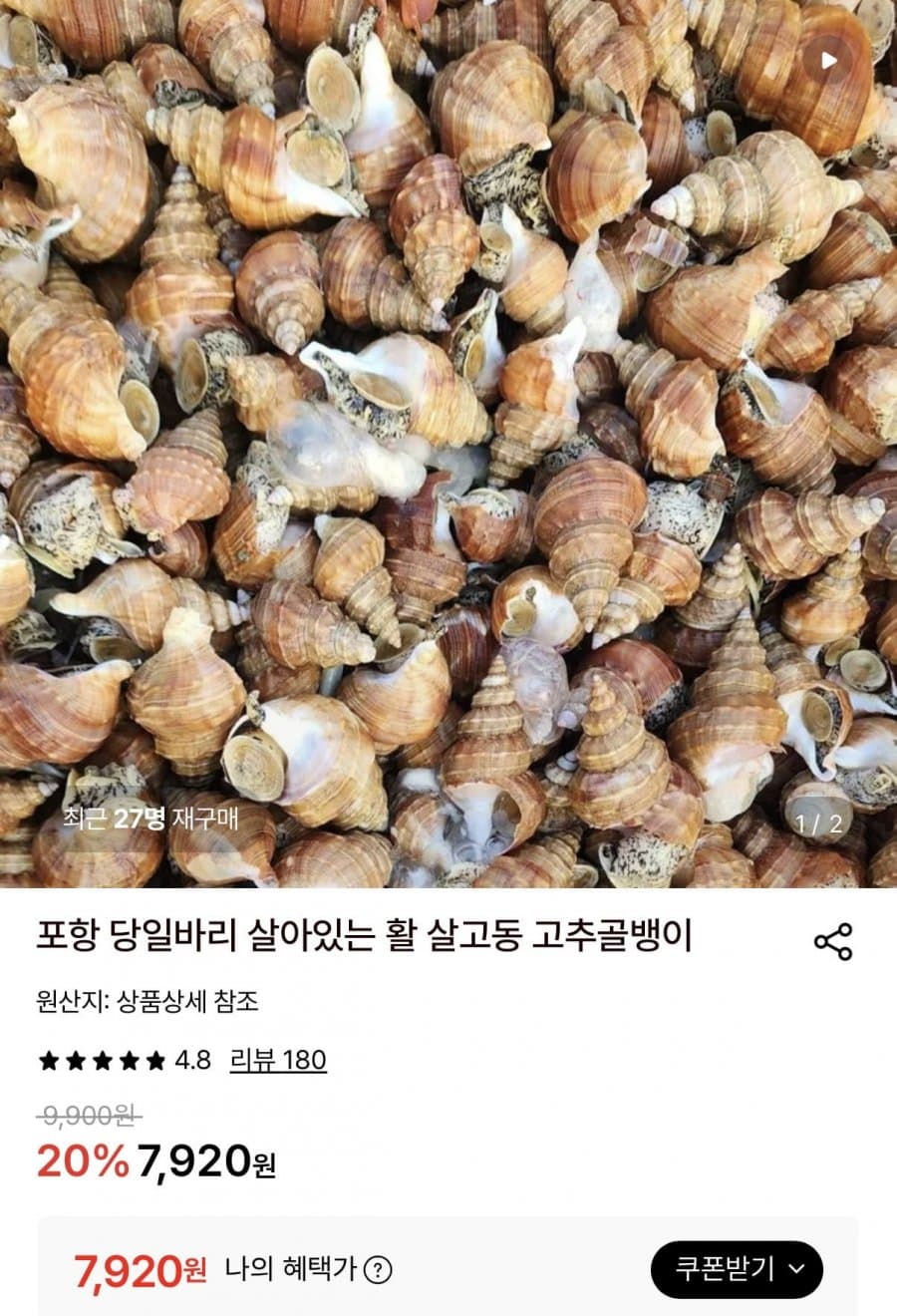 활 살고동 고추골뱅이 1kg