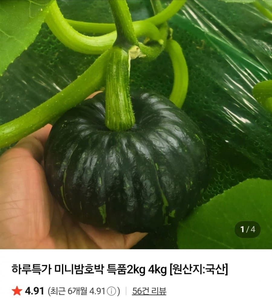미니밤호박 4kg
