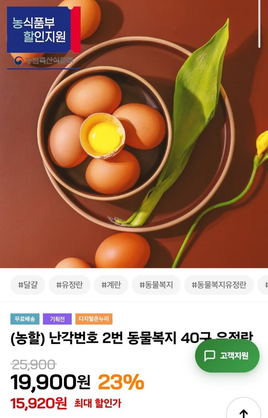 동물복지 유정란 40구