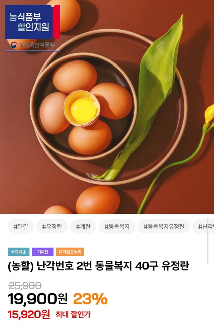 동물복지 유정란 40구