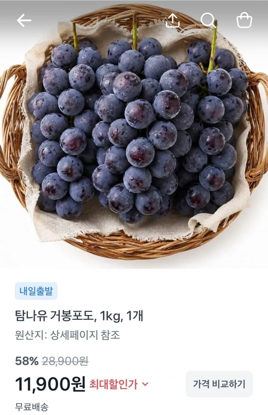 거봉포도 1kg