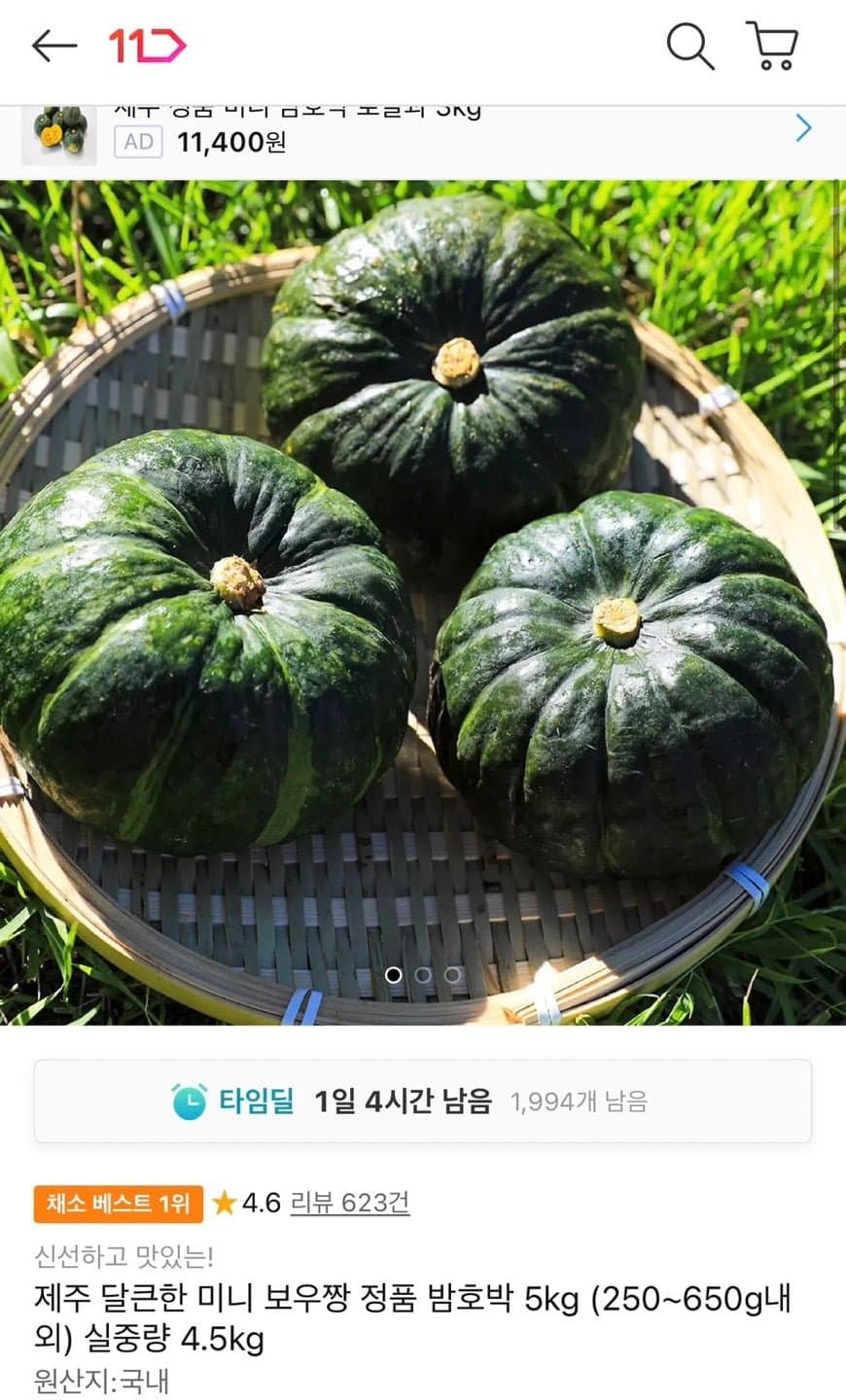 제주 미니 밤호박 5kg