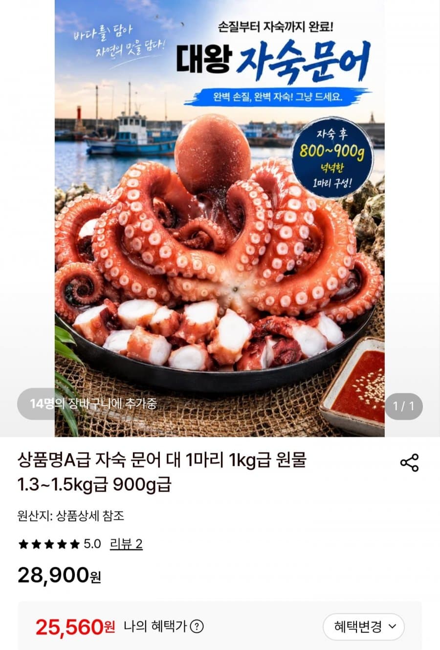 자숙 문어 대 1마리
