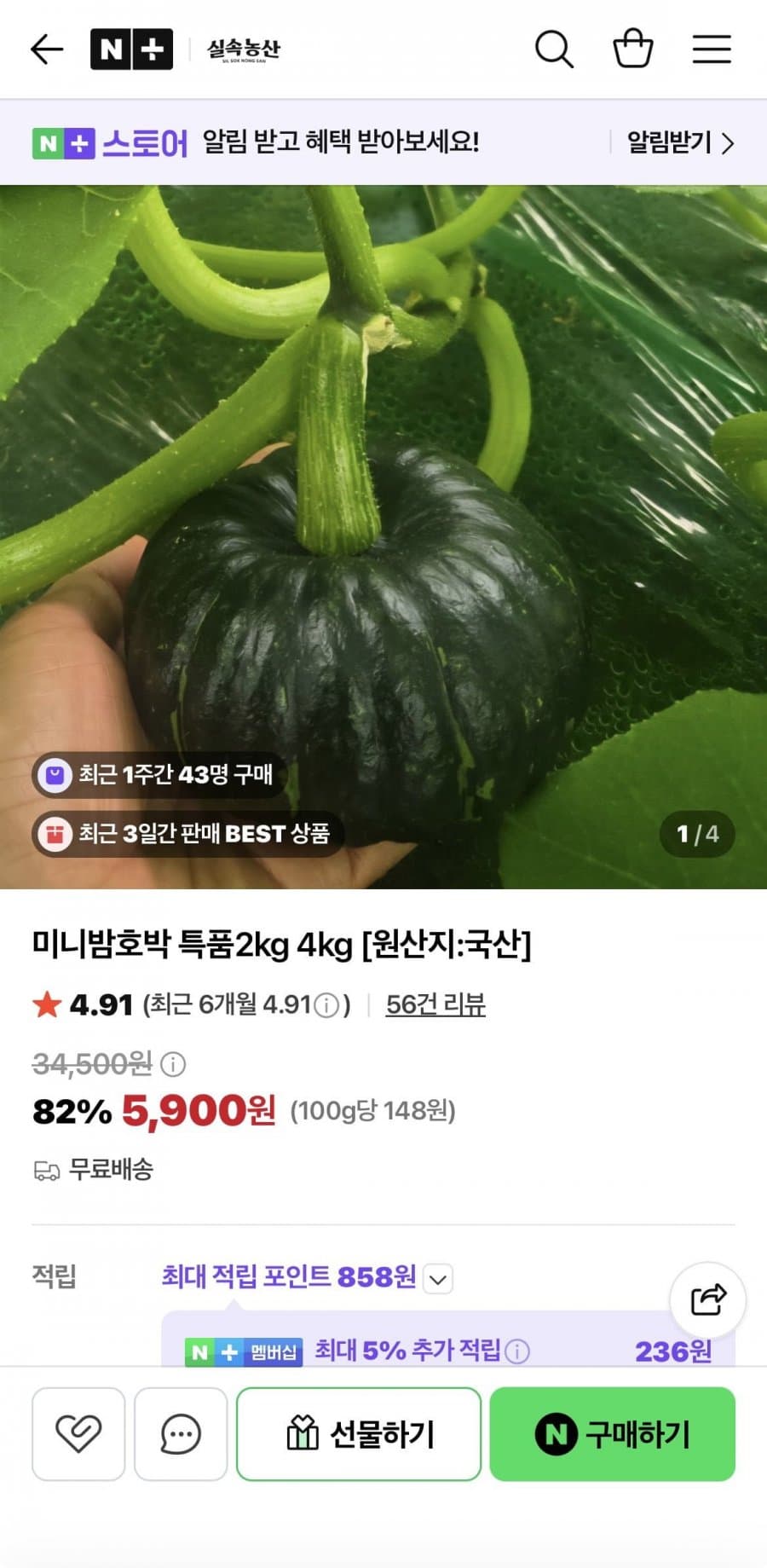 미니밤호박 4kg