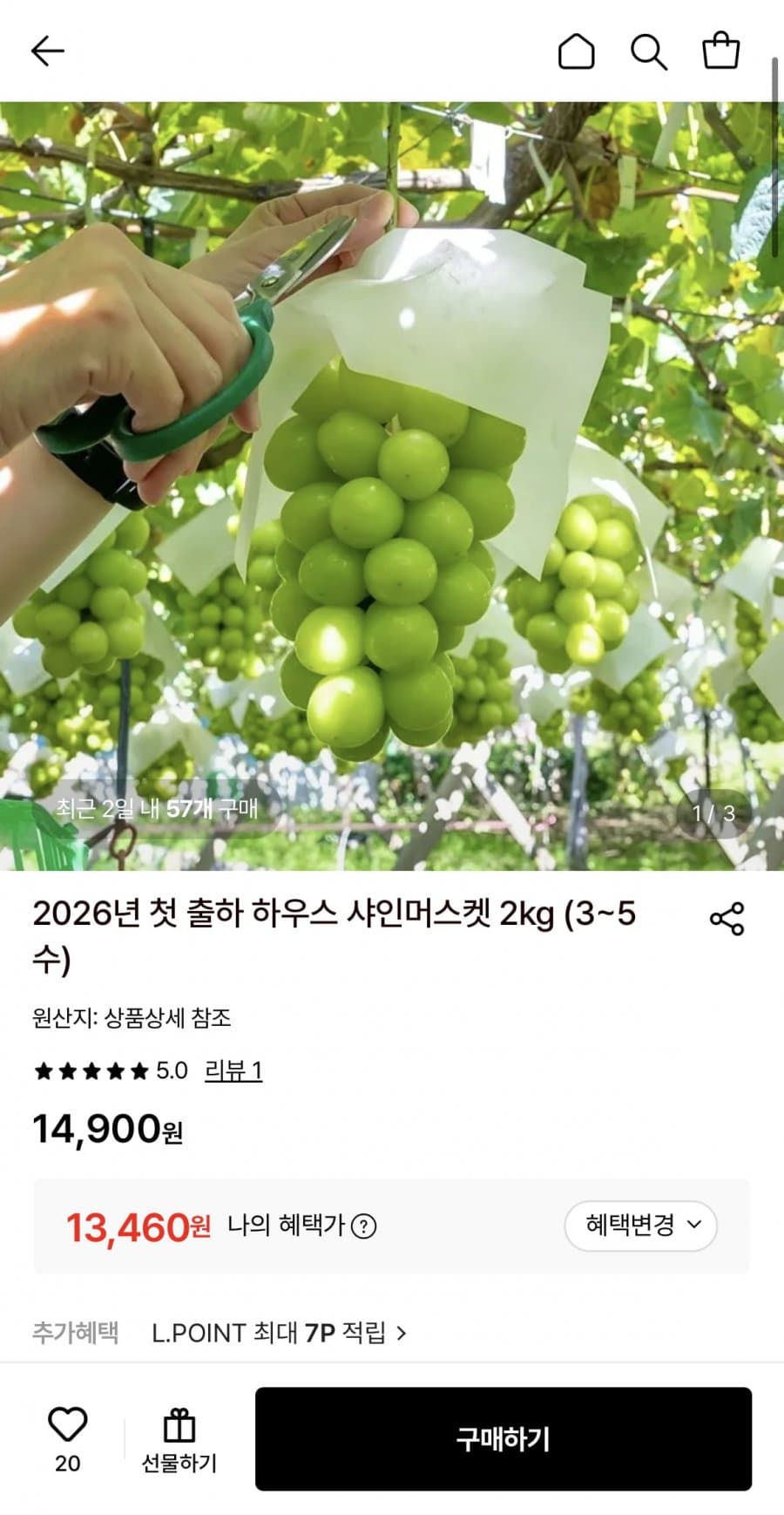 하우스 샤인머스켓 2kg