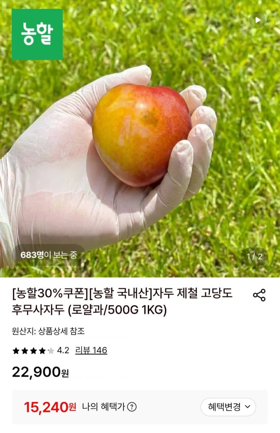 후무사 자두 로얄과 2kg