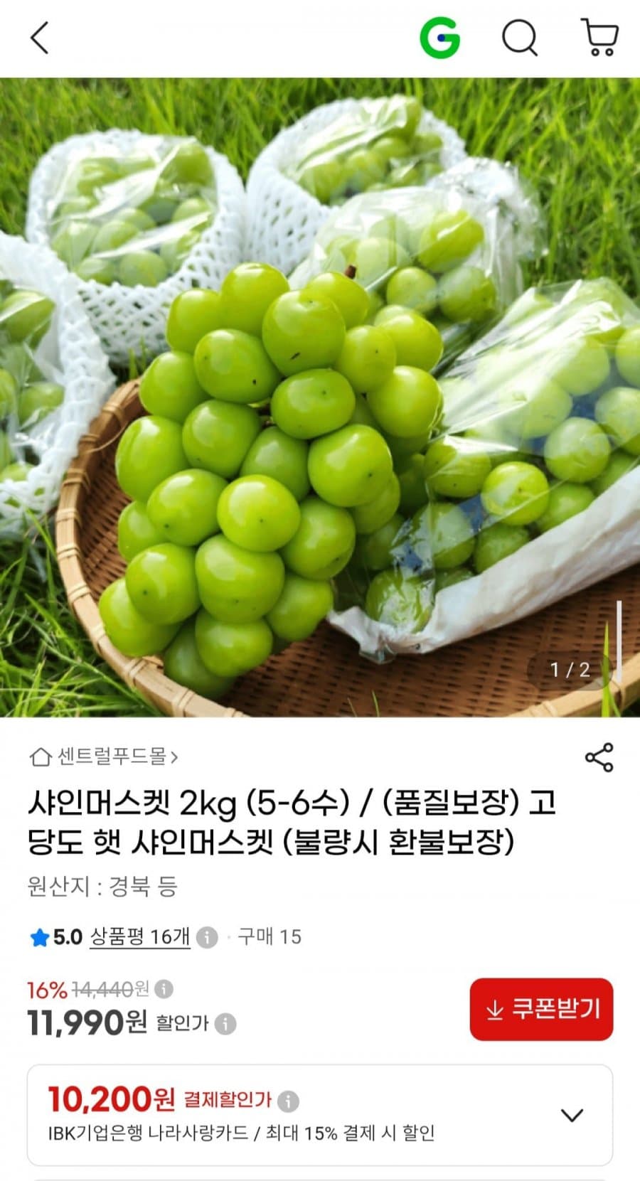 샤인머스켓 2kg
