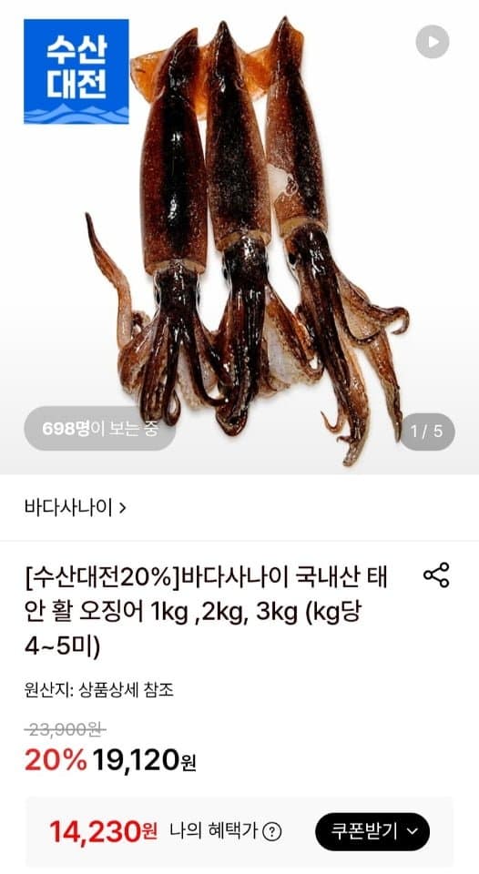 태안 활 오징어 1kg