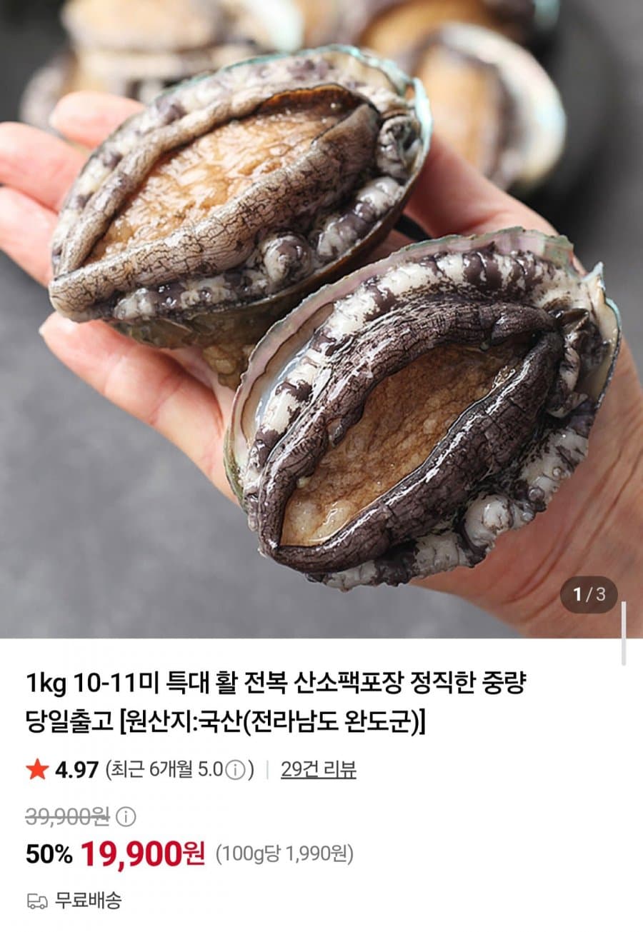 국내산 활 전복 1kg