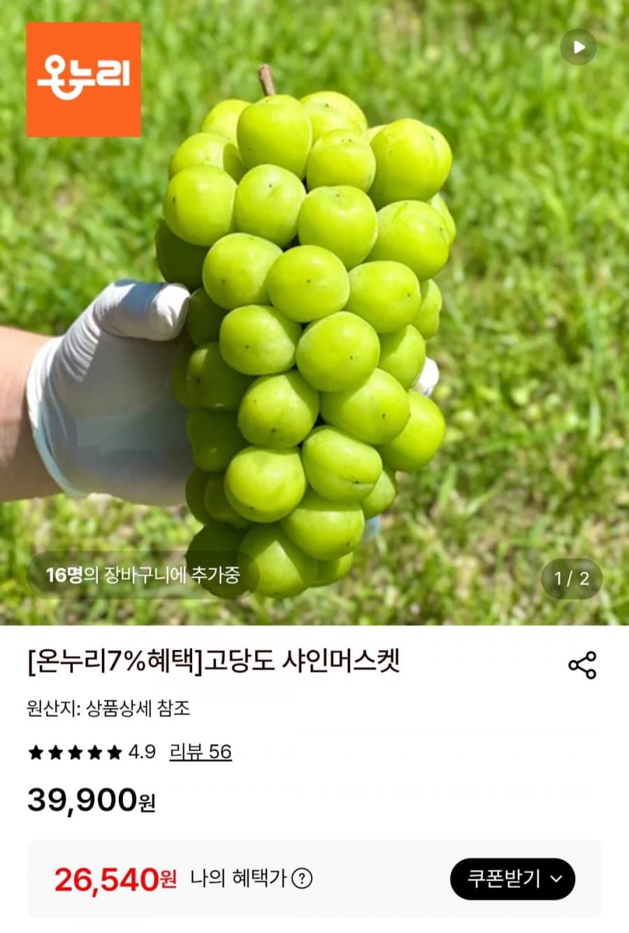 샤인머스켓 2.4kg 3수
