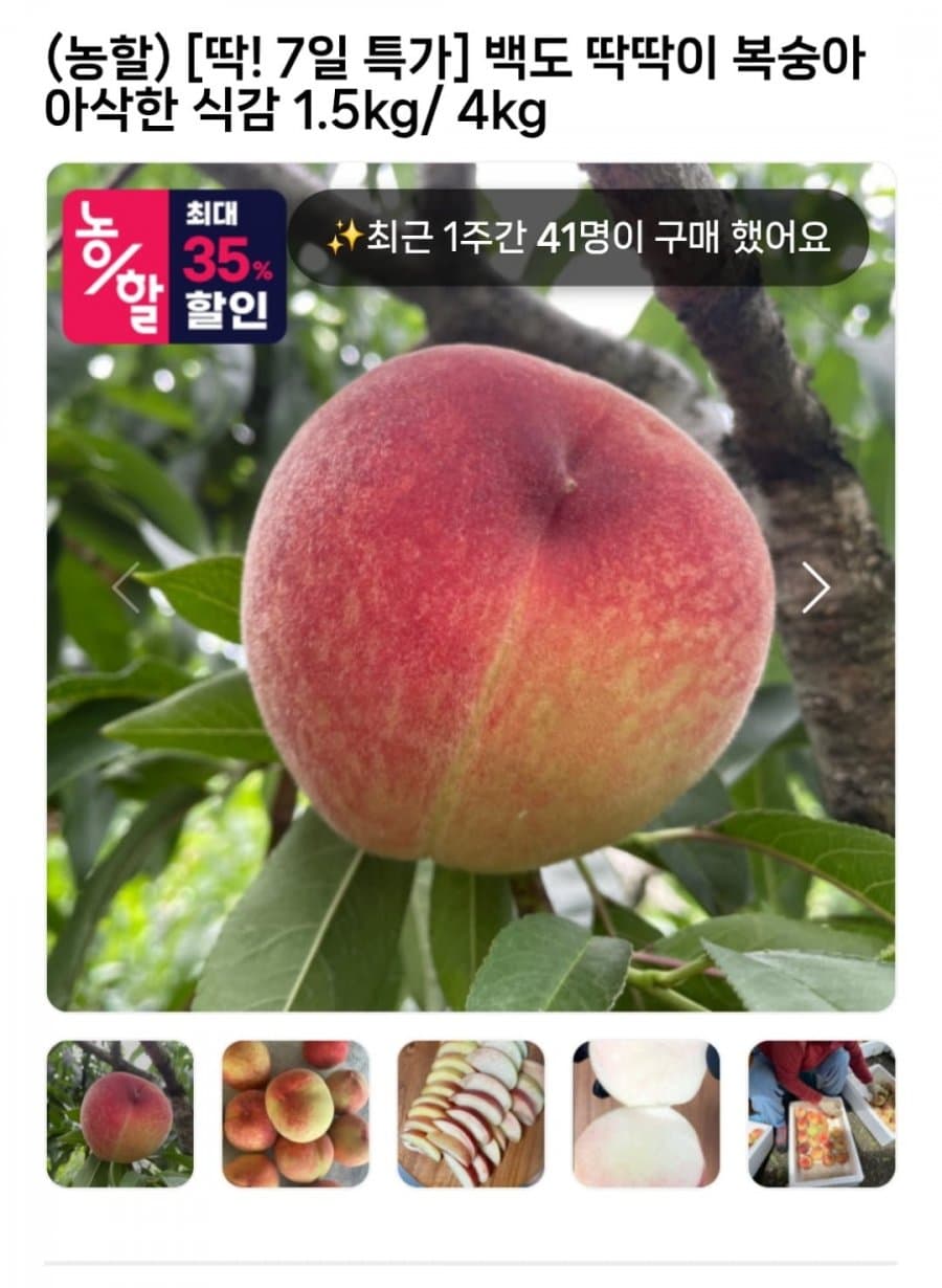 백도 딱딱이 복숭아 1.5kg