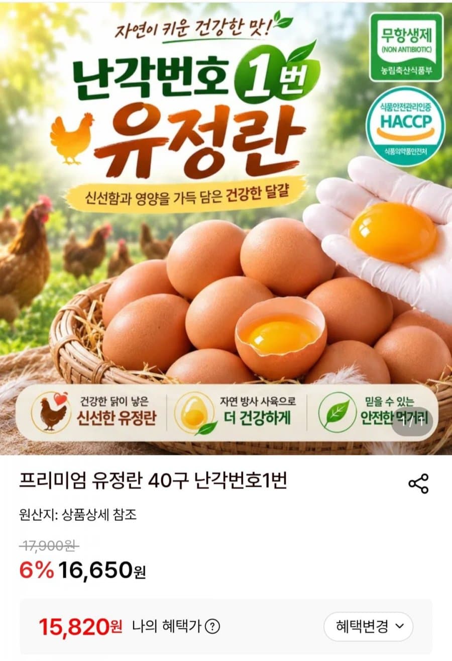 프리미엄 유정란 40구