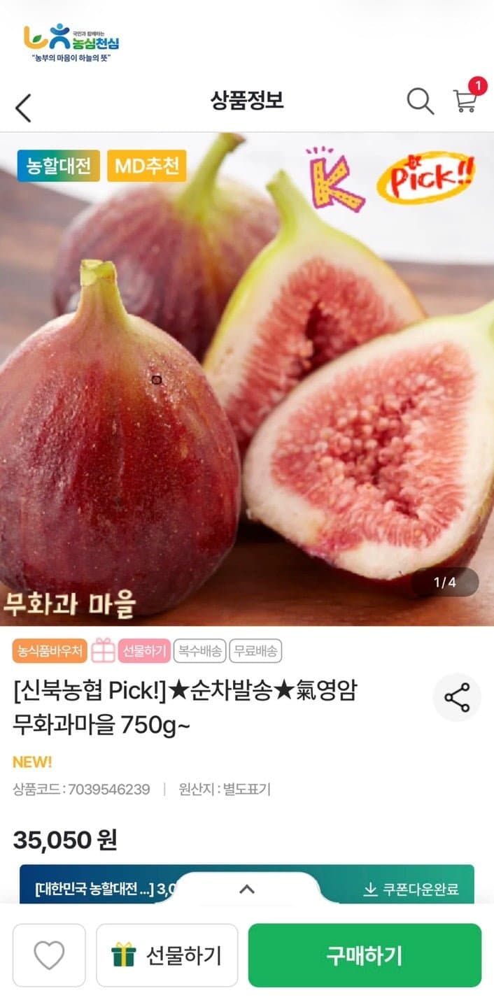 신북농협 신영암 홍무화과