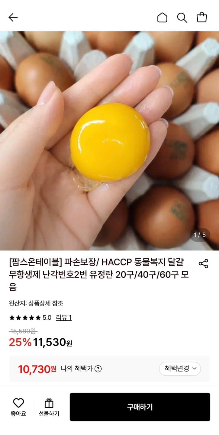 무항생제 유정란 20구