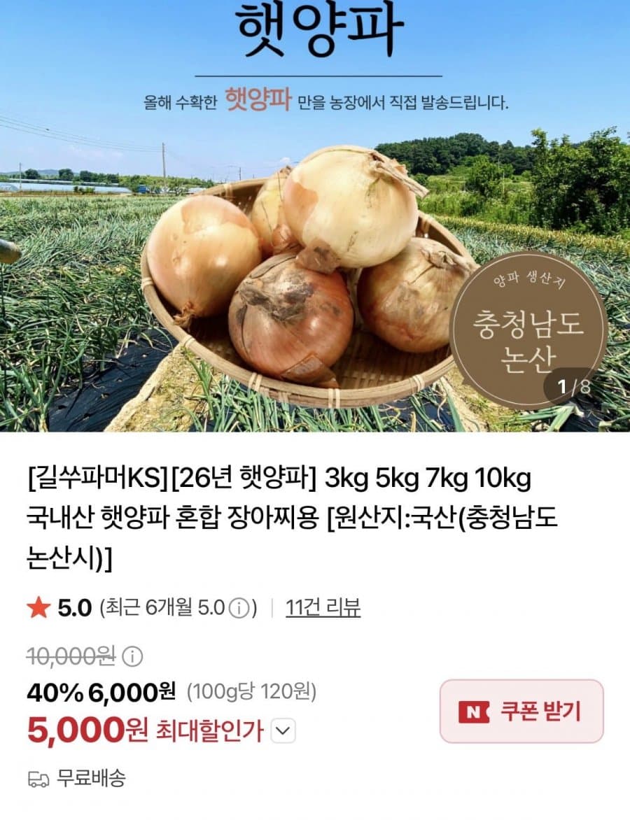 국내산 햇양파 5kg