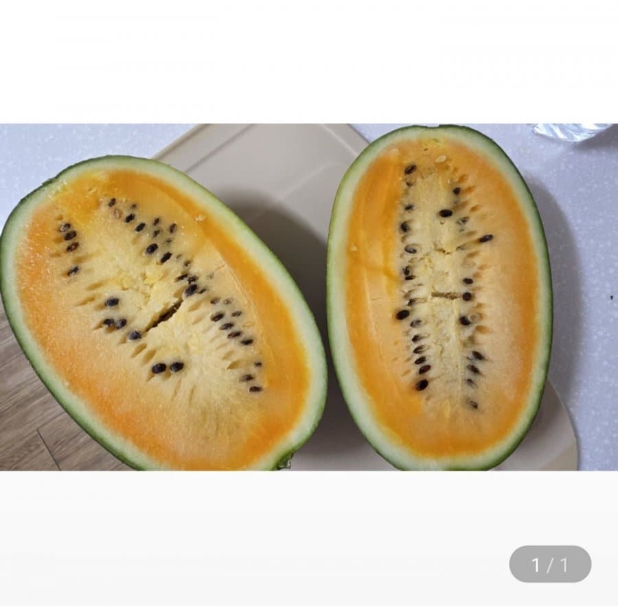 제주 망고수박 2통