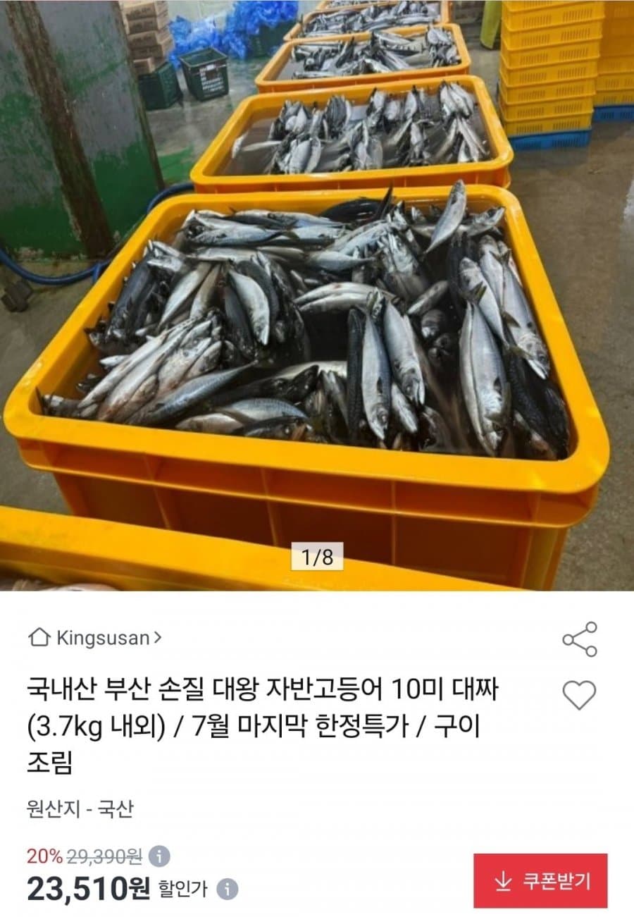 국내산 대왕 자반고등어 10미